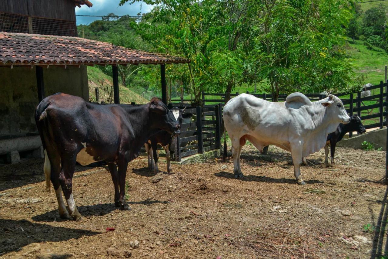 Chacara Maluco Beleza 2 Vila Gravatá Exterior foto
